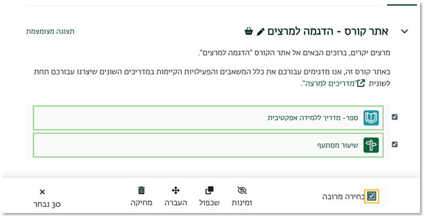 בחירת "בחירה מרובה" בסרגל עריכה מרובה
