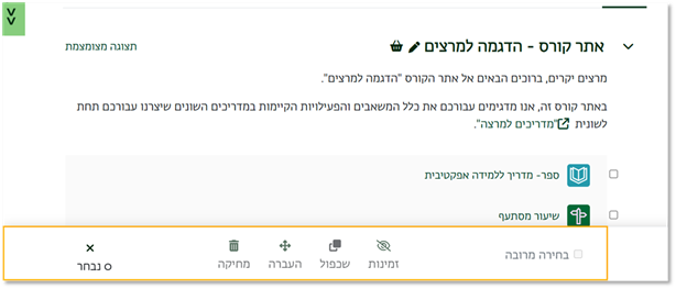 סרגל פעולות עריכה מרובה