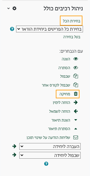 בחירת הכל ומחיקה.png